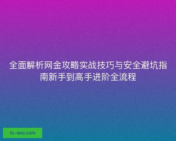 全面解析网金攻略实战技巧与安全避坑指南新手到高手进阶全流程 全面解析网金攻略实战技巧与安全避坑指南新手到高手进阶全流程