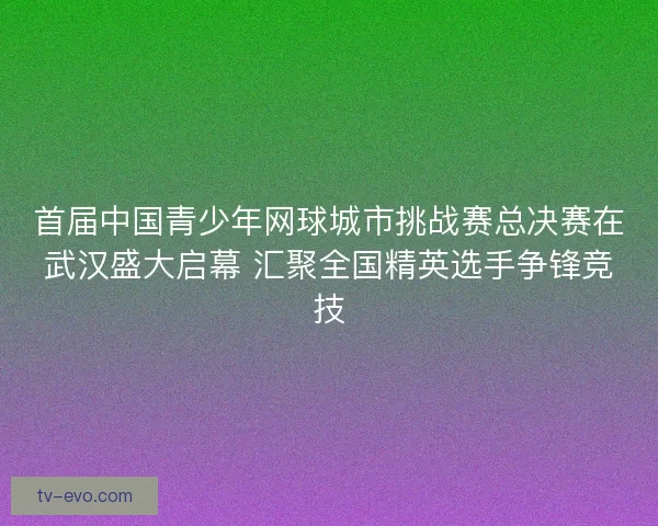 首届中国青少年网球城市挑战赛总决赛在武汉盛大启幕 汇聚全国精英选手争锋竞技