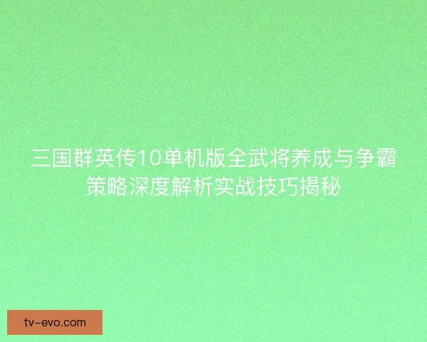 三国群英传10单机版全武将养成与争霸策略深度解析实战技巧揭秘 三国群英传10单机版全武将养成与争霸策略深度解析实战技巧揭秘